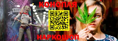 Альфа ПВП Будённовск
